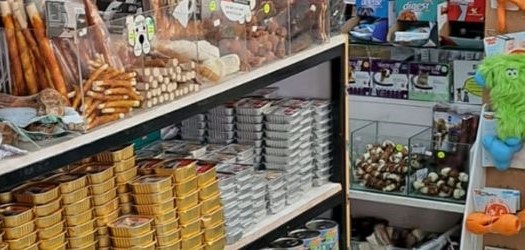 זו ארץ זו – אוסטרובסקי, רעננה