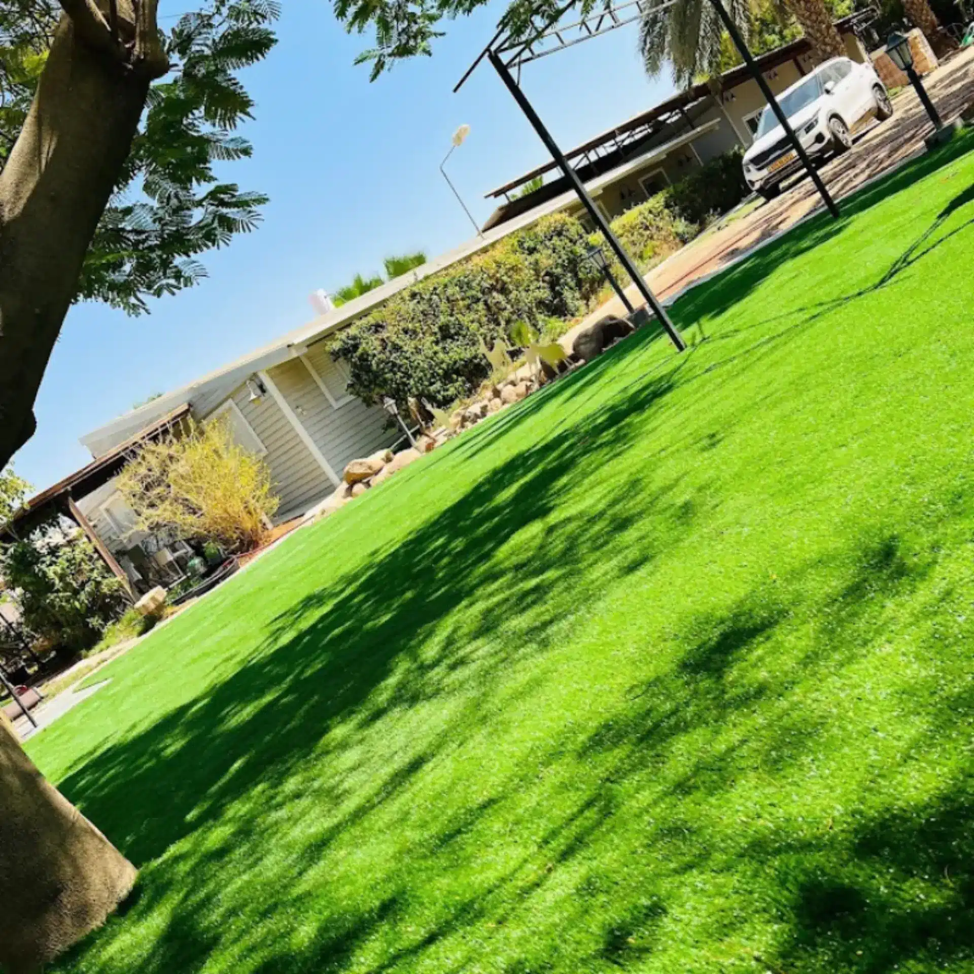 דשא סינטטי - החלום שמתגשם